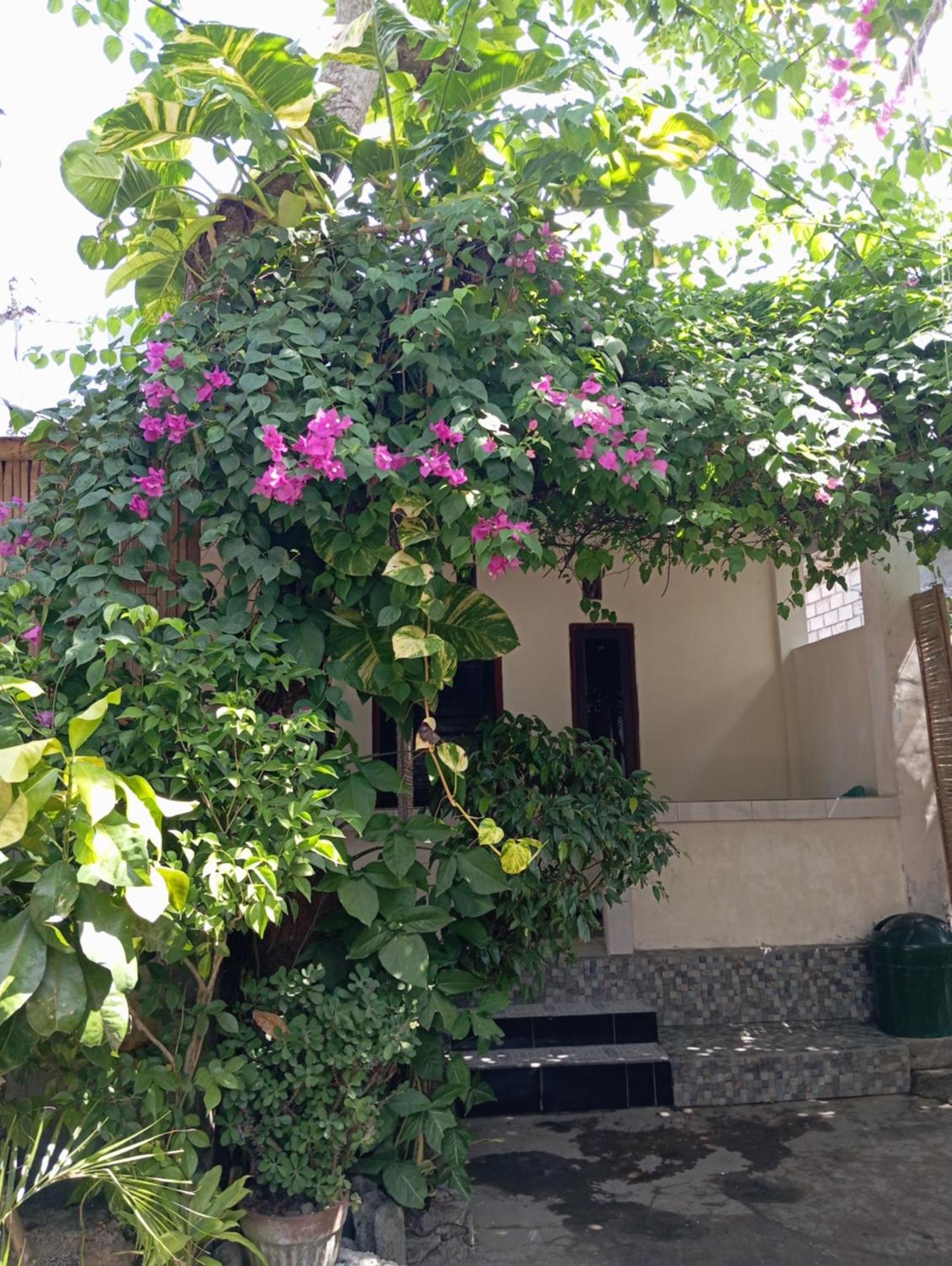 Pedek Homestay Praya Ngoại thất bức ảnh
